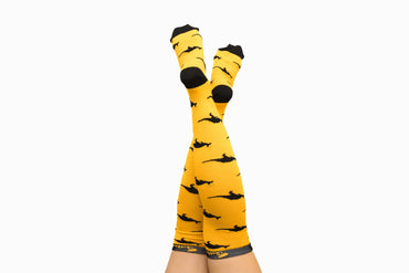 Softies Women's Fashion Kangaroos Nursing Socks KANGS01  Simply Scrubs Australia